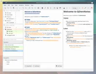 Description de l'image QOwnNotes 16.11.10 Screenshot.png.