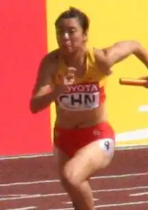 Image illustrative de l’article Qin Wangping