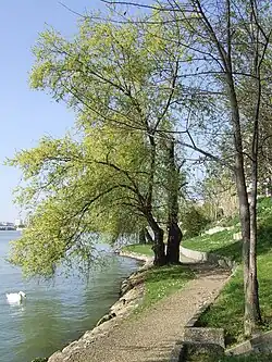 Quai des Gondoles de Choisy-le-Roi.