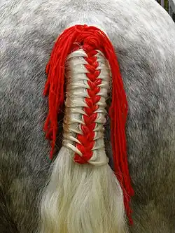 Détail sur la queue tressée, salon international de l'agriculture, 2022.