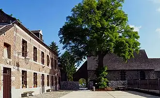 Le « Tilleul de la Liberté ».