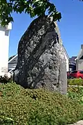 Menhir n°1.
