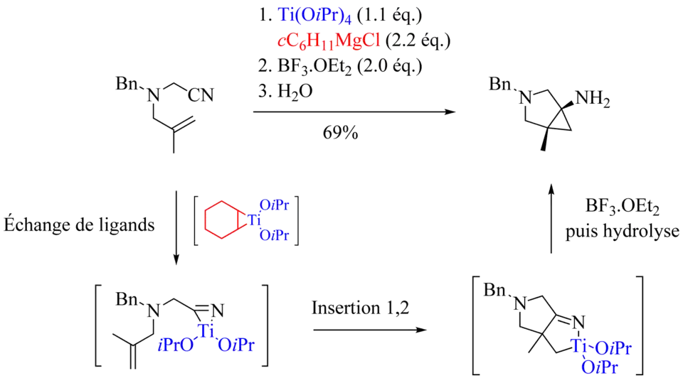 Réactions de Kulinkovich-Szymoniak intramoléculaires