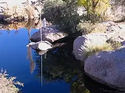 Toconao.- Région d'Antofagasta, Chili. 53 Puente Toconao.