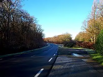 Image illustrative de l’article Forêt de Coëtquen