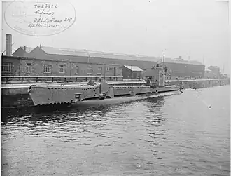 illustration de Pipinos (Y8)