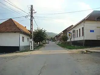Lăpușnicel