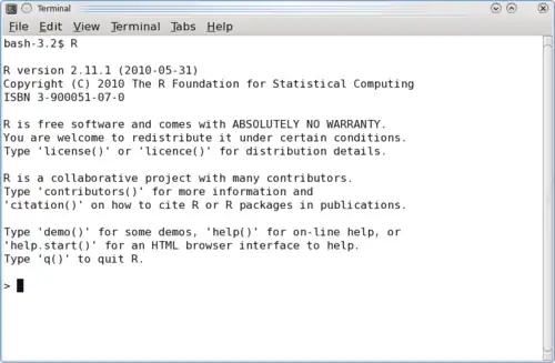 Terminal R dans sa version 2.11.1