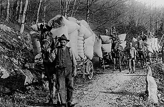Ramassage de feuilles mortes à Betlis SG.