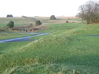 Terrain herbeux vallonné, longé par une route