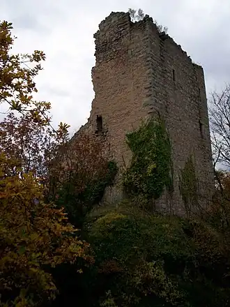Image illustrative de l’article Château de Ramstein