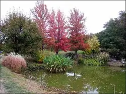 Image illustrative de l’article Jardin du Bois Marquis