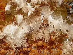 Image illustrative de l’article Rapidcreekite