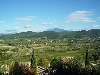 Image illustrative de l’article Rasteau (AOC)