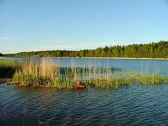 La baie Vartiokylänlahti et la plage de Rastila vues de Puotila.