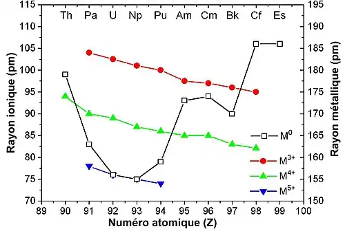 Rayon métallique (en noir) des actinides. On observe que le rayon métallique du protactinium, de l'uranium, du neptunium et du plutonium est sensiblement inférieur à celui des autres actinides (thorium, américium, curium, berkélium, etc.). Cet effet est imputable aux électrons des orbitales 5f.