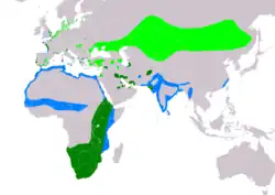 Carte montrant en vert foncé notamment le sud et l'est de l'Afrique et la côte atlantique, en vert clair, l'Asie centrale et les côtes du nord de l'Europe, en bleu l'Afrique du Nord et l'Inde.