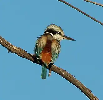 Description de cette image, également commentée ci-après