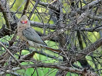 Description de cette image, également commentée ci-après