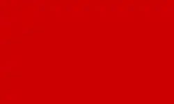 Drapeau de la République socialiste des travailleurs finlandais (29 janvier 1918 – 5 mai 1918)