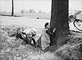 Un réfugié belge s'abrite derrière un arbre lors d'un raid aérien allemand (1940).