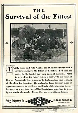 Description de l'image Release flier for THE SURVIVAL OF THE FITTEST, 1911.jpg.