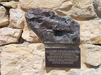 Description de l'image Relief ryby Osmeroides.jpg.