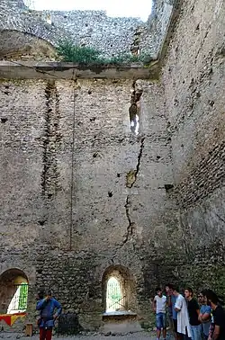 Photographie en couleurs d'un mur balafré d'une profonde lézarde verticale.