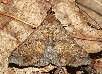 Description de cette image, également commentée ci-après