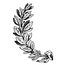 Représentation d'une branche de laurier à sénestre du blason.