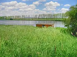 Réserve naturelle de las Riberas de Castronuño-Vega del Duero.