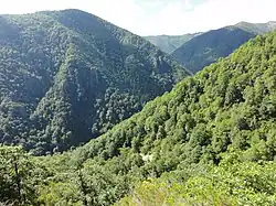 La réserve naturelle de Muniellos, partagée par les communes Cangas del Narcea et Ibias.