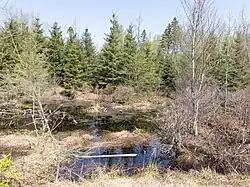 Réserve écologique Lac-à-la-Tortue[1], Mauricie, Québec, Canada