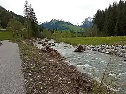 Renaturation d'une rivière en Suisse avec utilisation de bois mort.