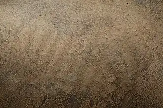 Peau d'un rhinocéros noir.