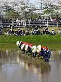 Festival de plantation du riz au Katori-jingū