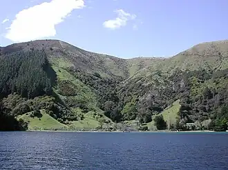 Photographie vue de bateau d'un littoral dont les pentes sont partiellement recouvertes de forêt originelle, partiellement déboisées et en partie reboisées en conifères.
