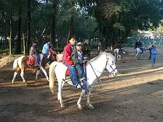 Chevaux Baguio montés dans le Wright Park