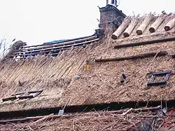 Couverture en chaume, différents états d'avancement roseau (Pays-Bas)