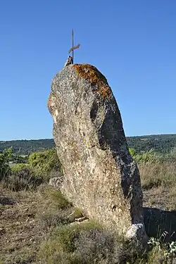 Image illustrative de l’article Pierre Droite (Rieux-en-Val)