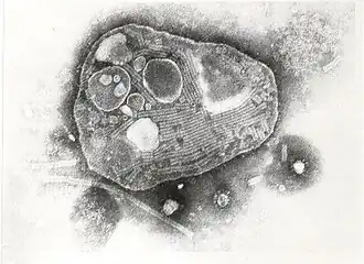 Description de cette image, également commentée ci-après