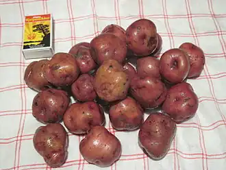 Image illustrative de l’article Ringerikspotet fra Ringerike