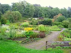 Vue en léger surplomb de plantes buissonnantes dans un jardin avec des arbres en fond.