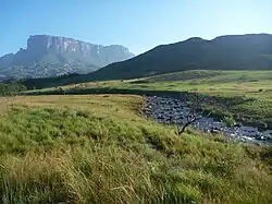 Le tepuy Kukenan et le rio Tek.
