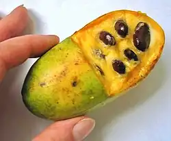 Fruit à maturité.