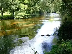 L'Ellé à Ty Nadan (en Locunolé).