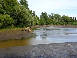 Image illustrative de l’article Stadaconé