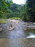 La rivière Moustique au passage à gué de Duquerry.