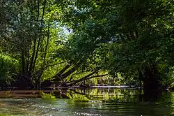La Zorn qui longe le sentier André-Weckmann.
