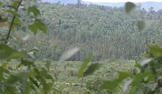 Marais et rivière Aux Araignées.